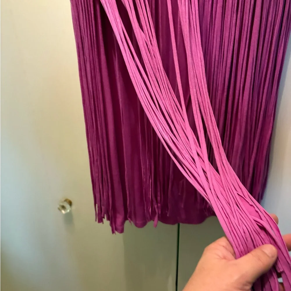 Purple Fringe Dress - Picture 3 of 4